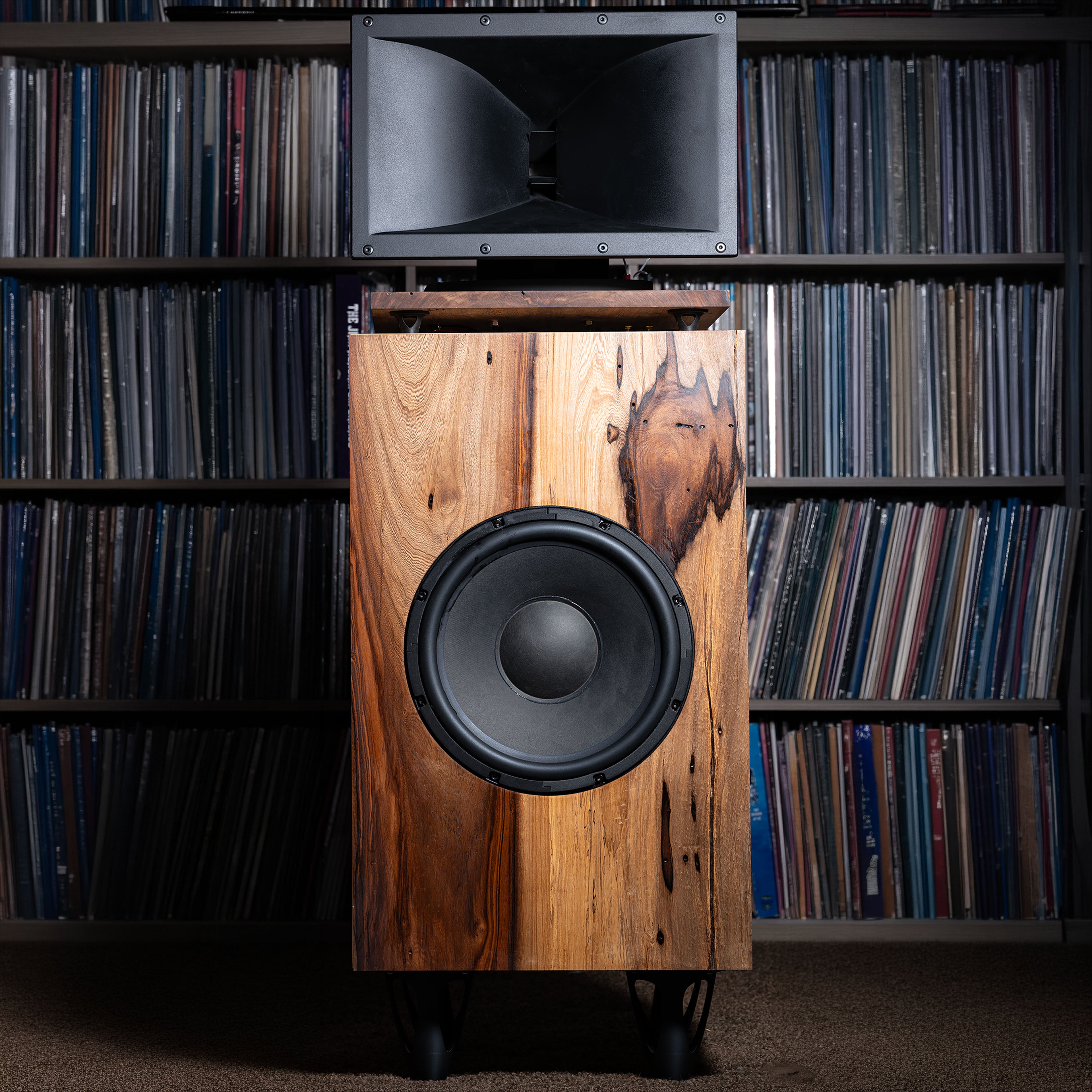 Magnum Horn Speaker Pair