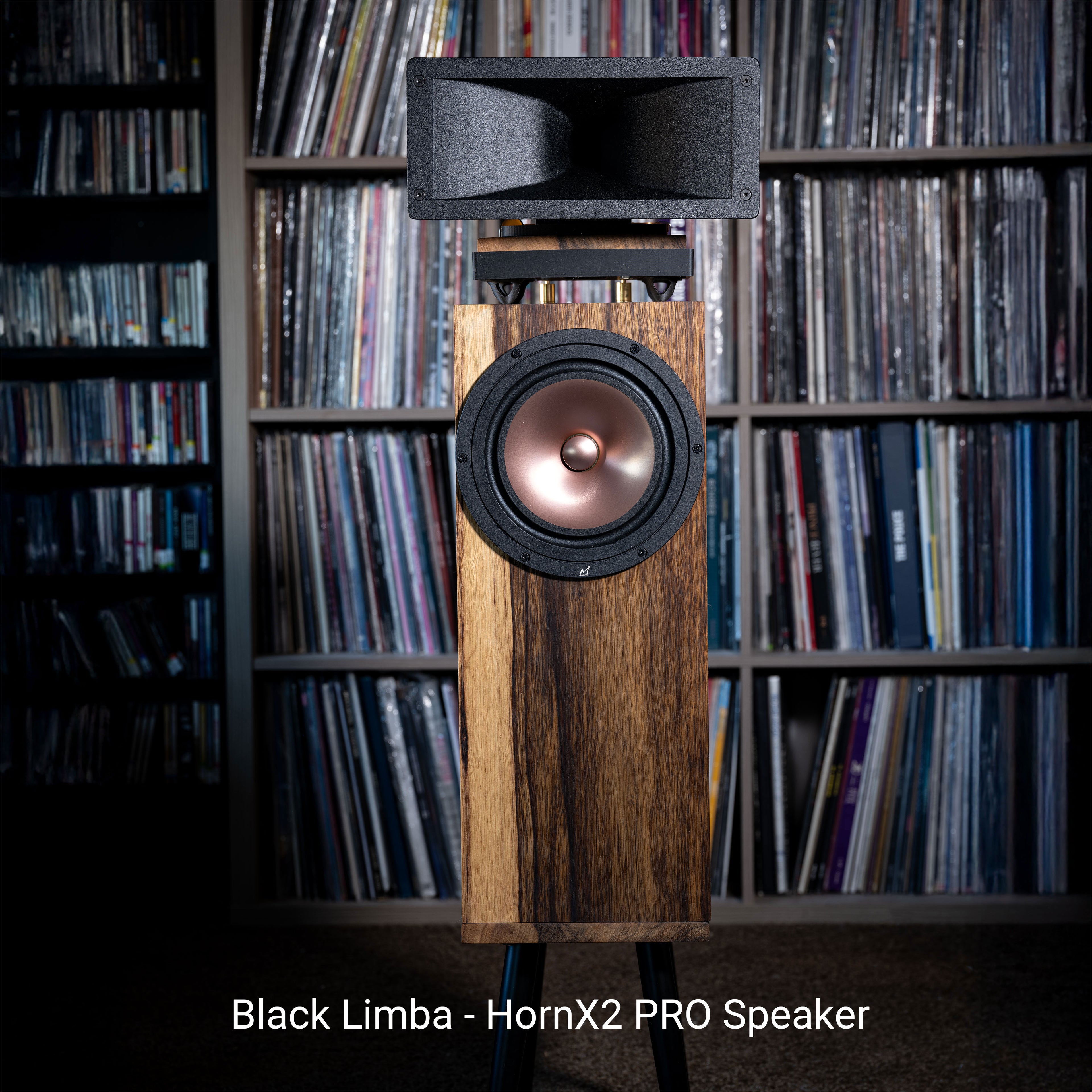 Horn 2 PRO Horn Speaker (Pair)