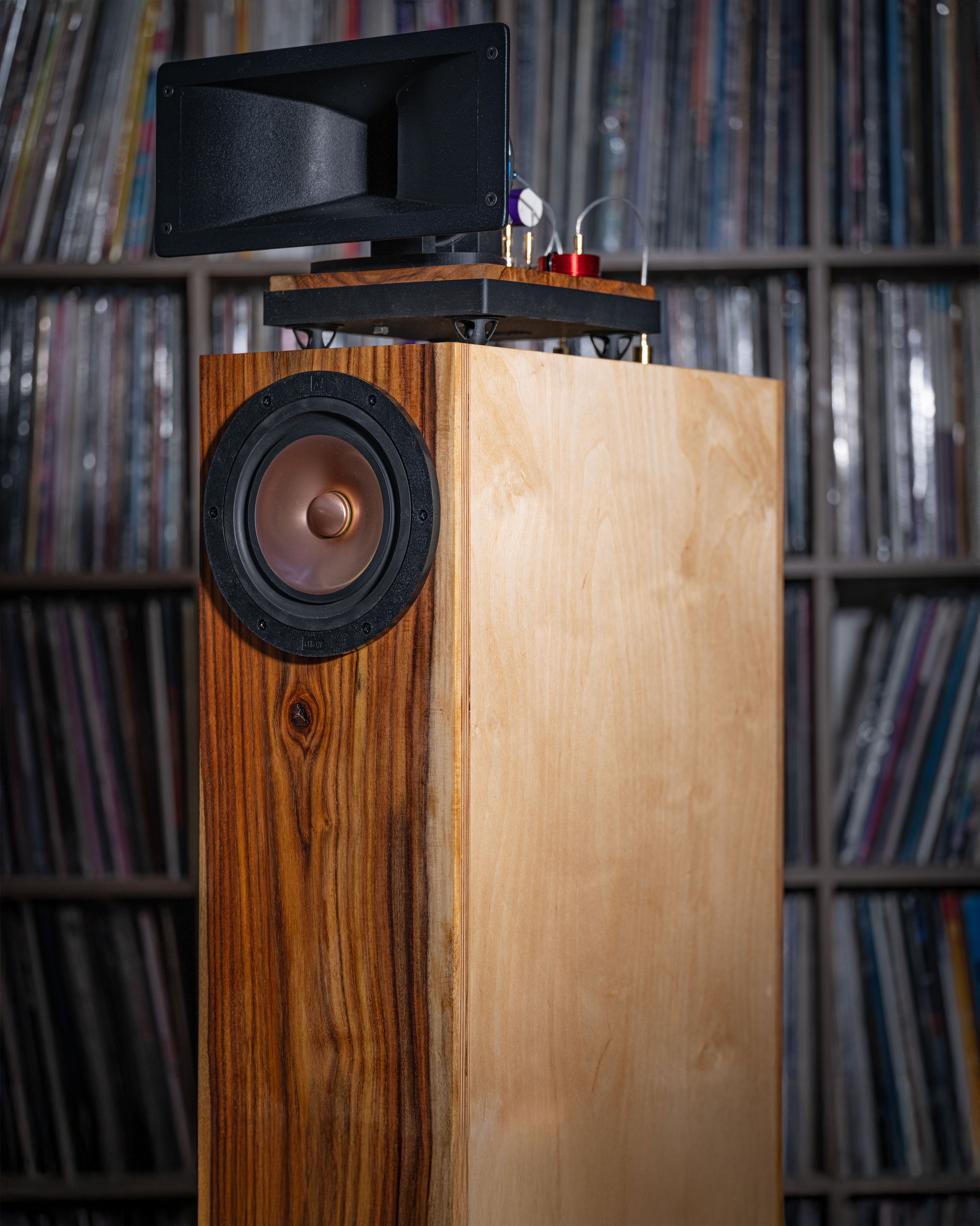 Hiro Speaker - pair – Shinjitsu Audio