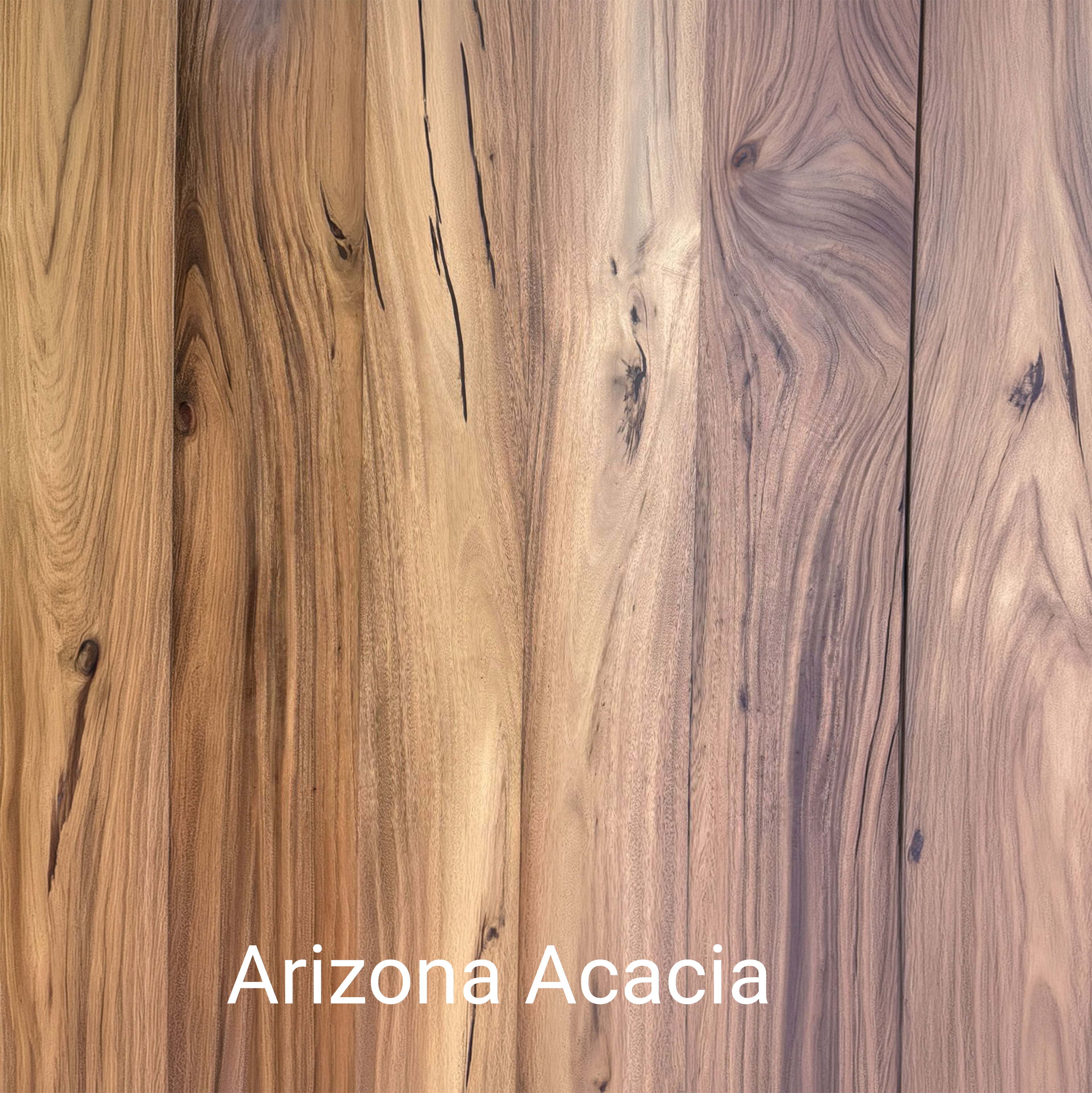 Horn 2 PRO Horn Speaker (Pair)