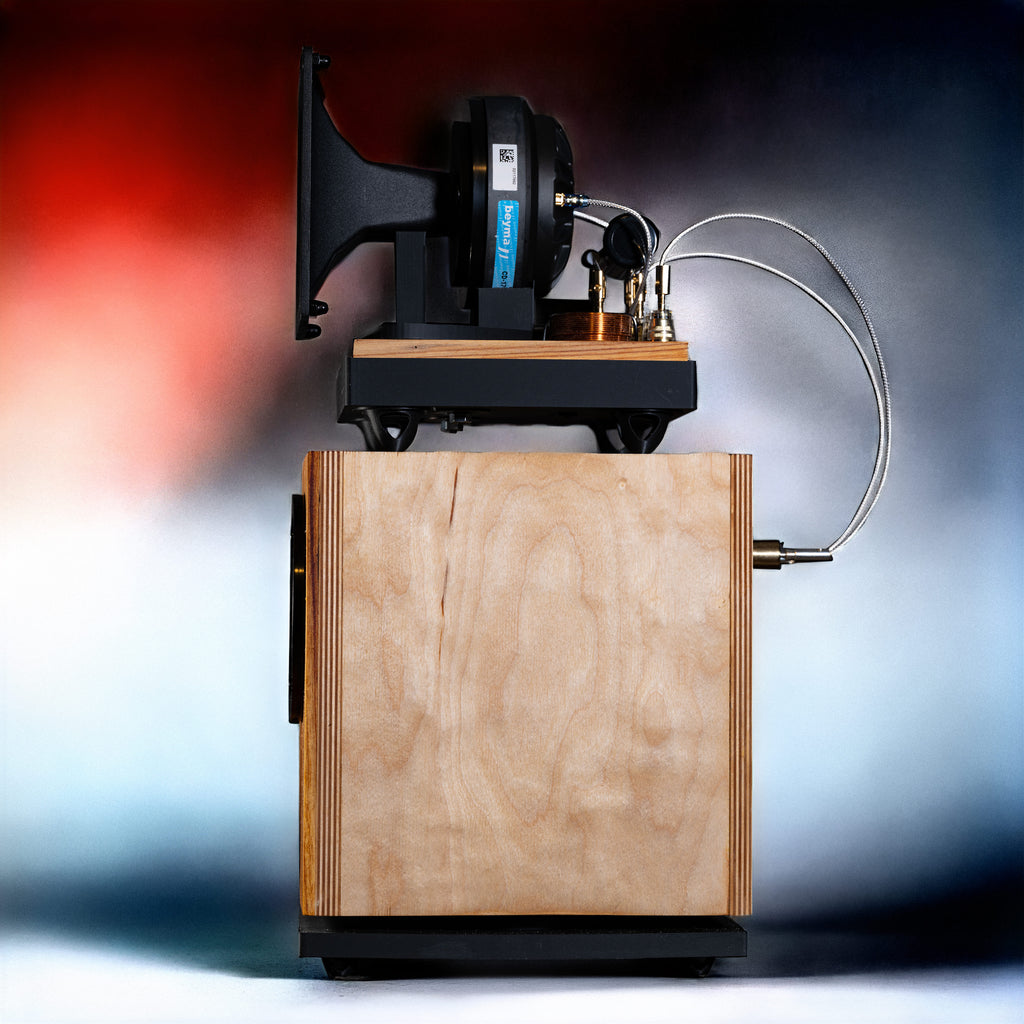 Atom Horn Speaker Pair