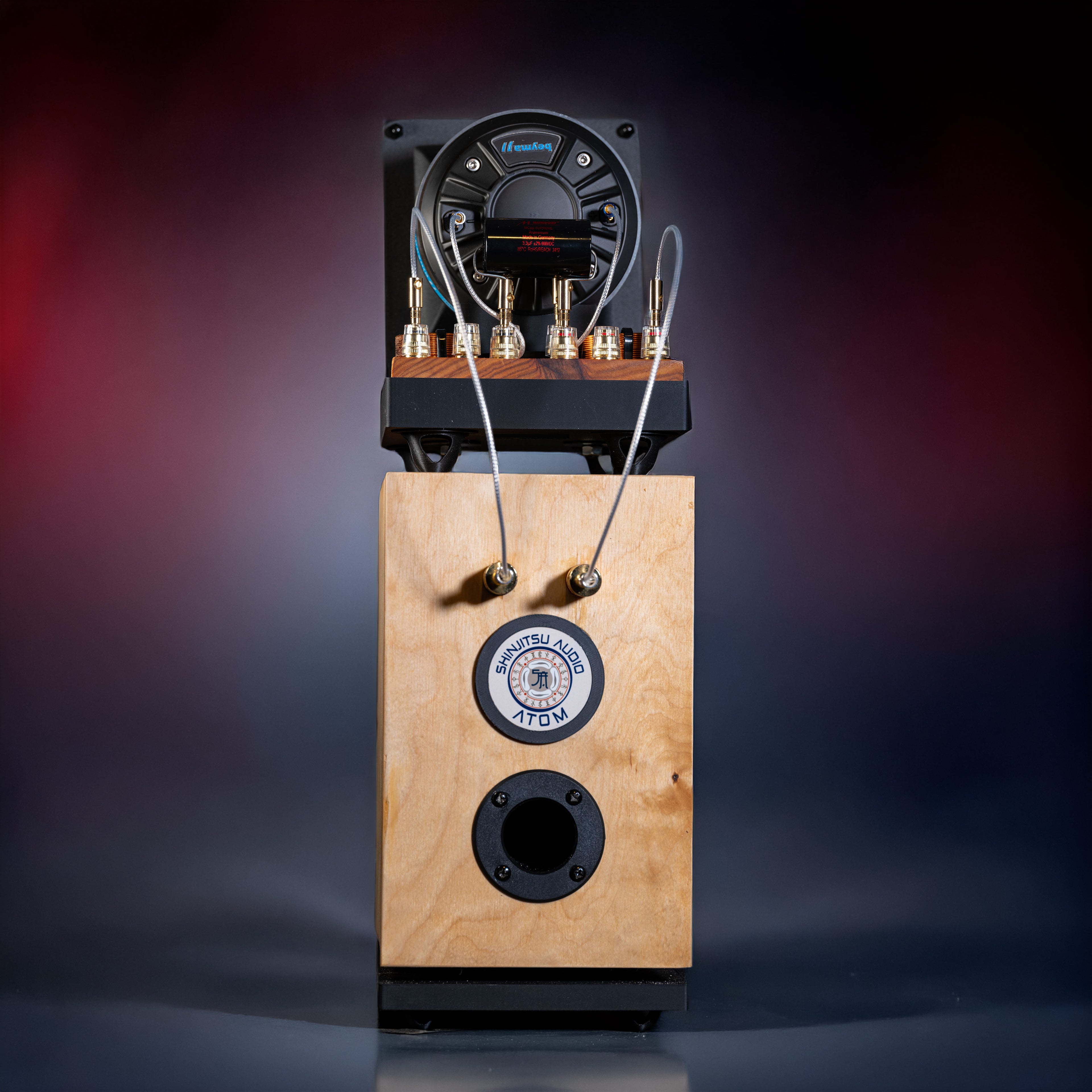 Atom Horn Speaker Pair