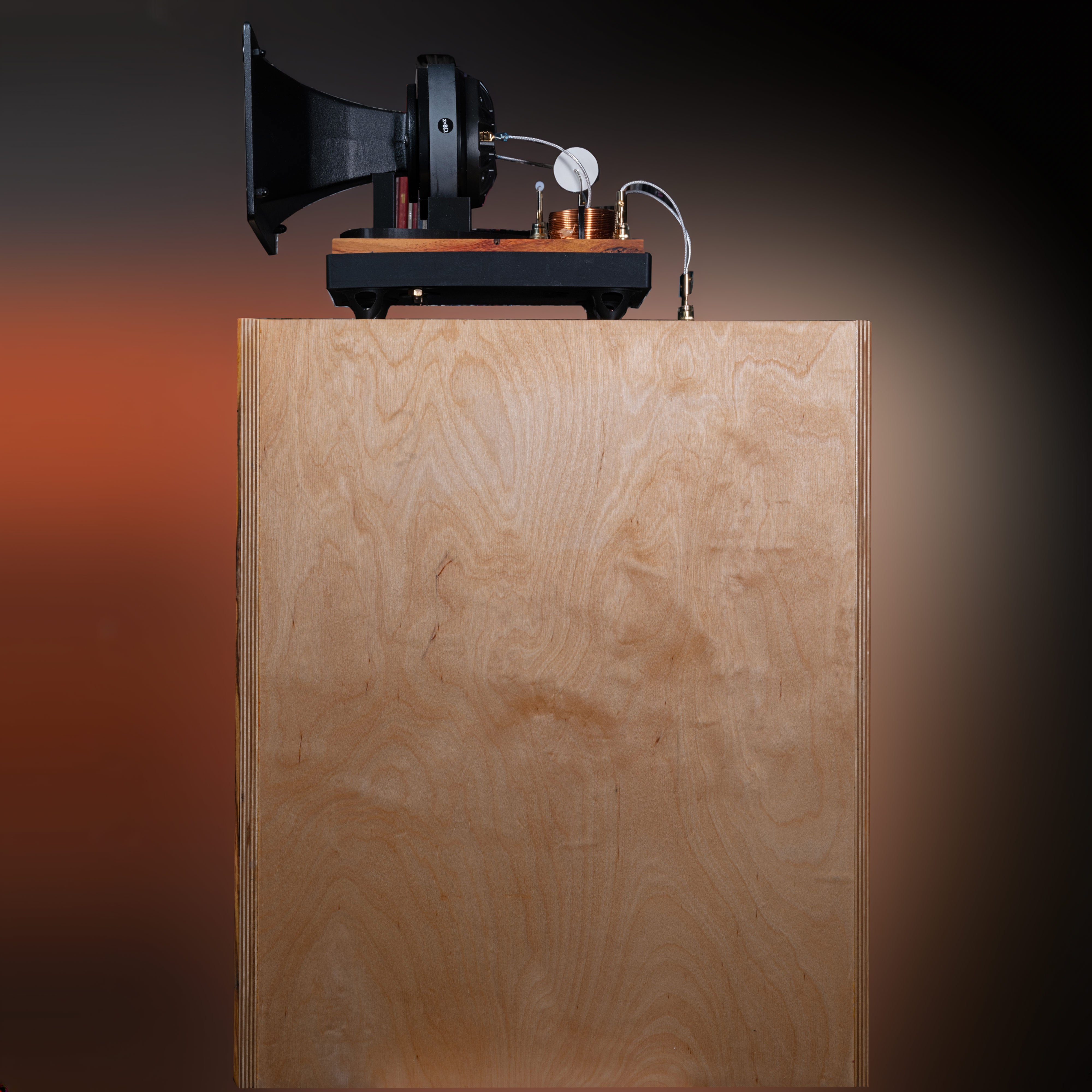 Hiro Horn Speaker Pair – Shinjitsu Audio