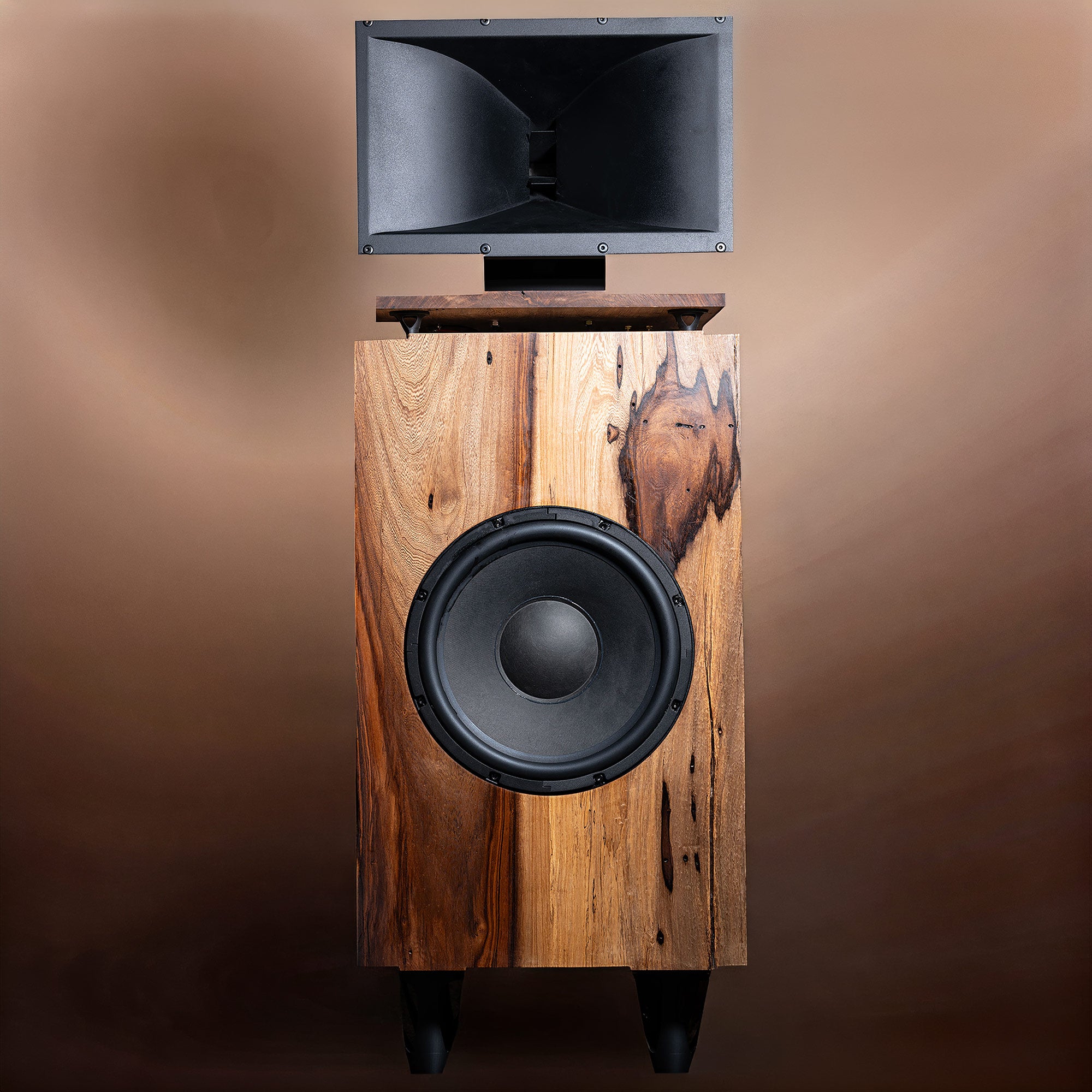 Magnum Horn Speaker Pair