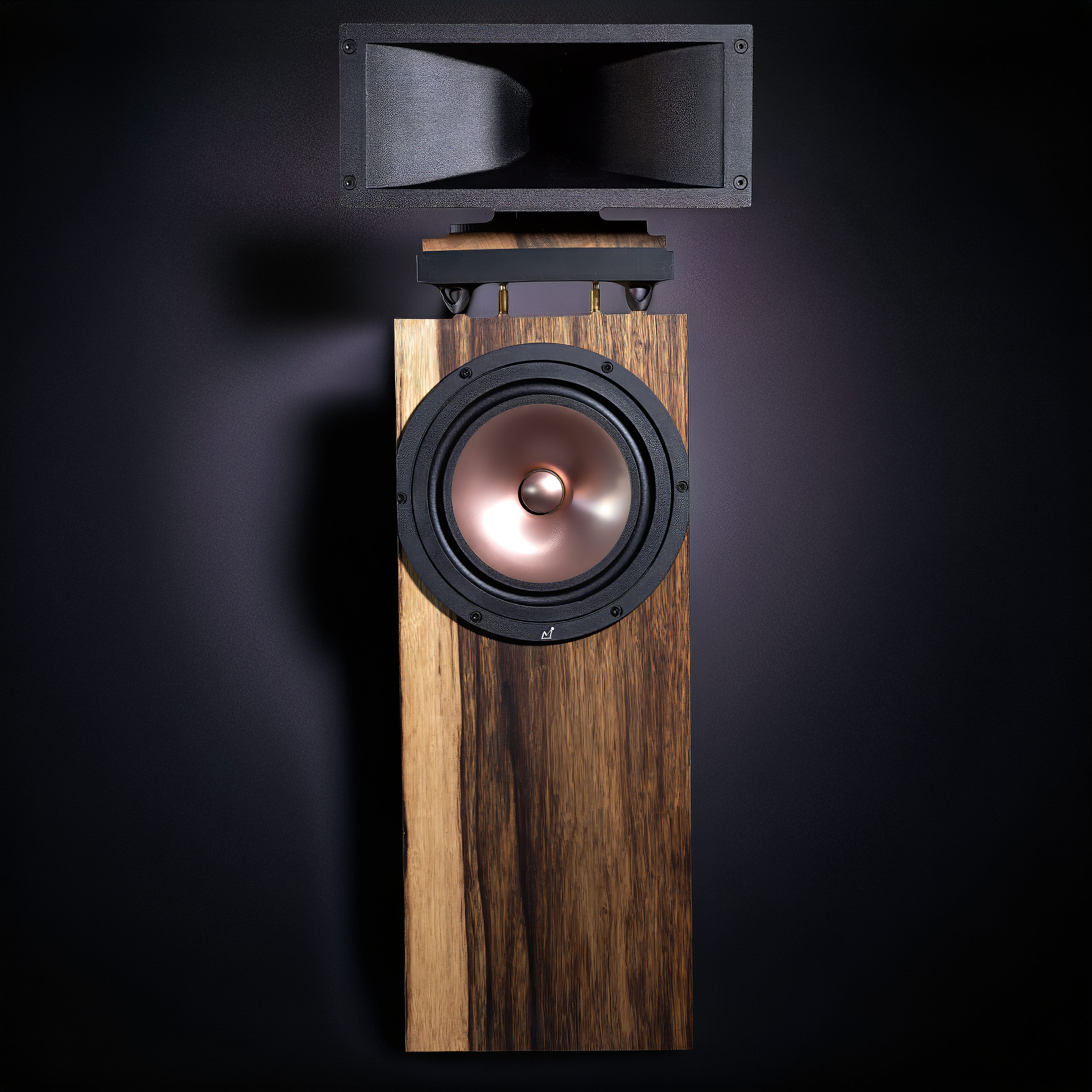 Hiro Horn Speaker Pair