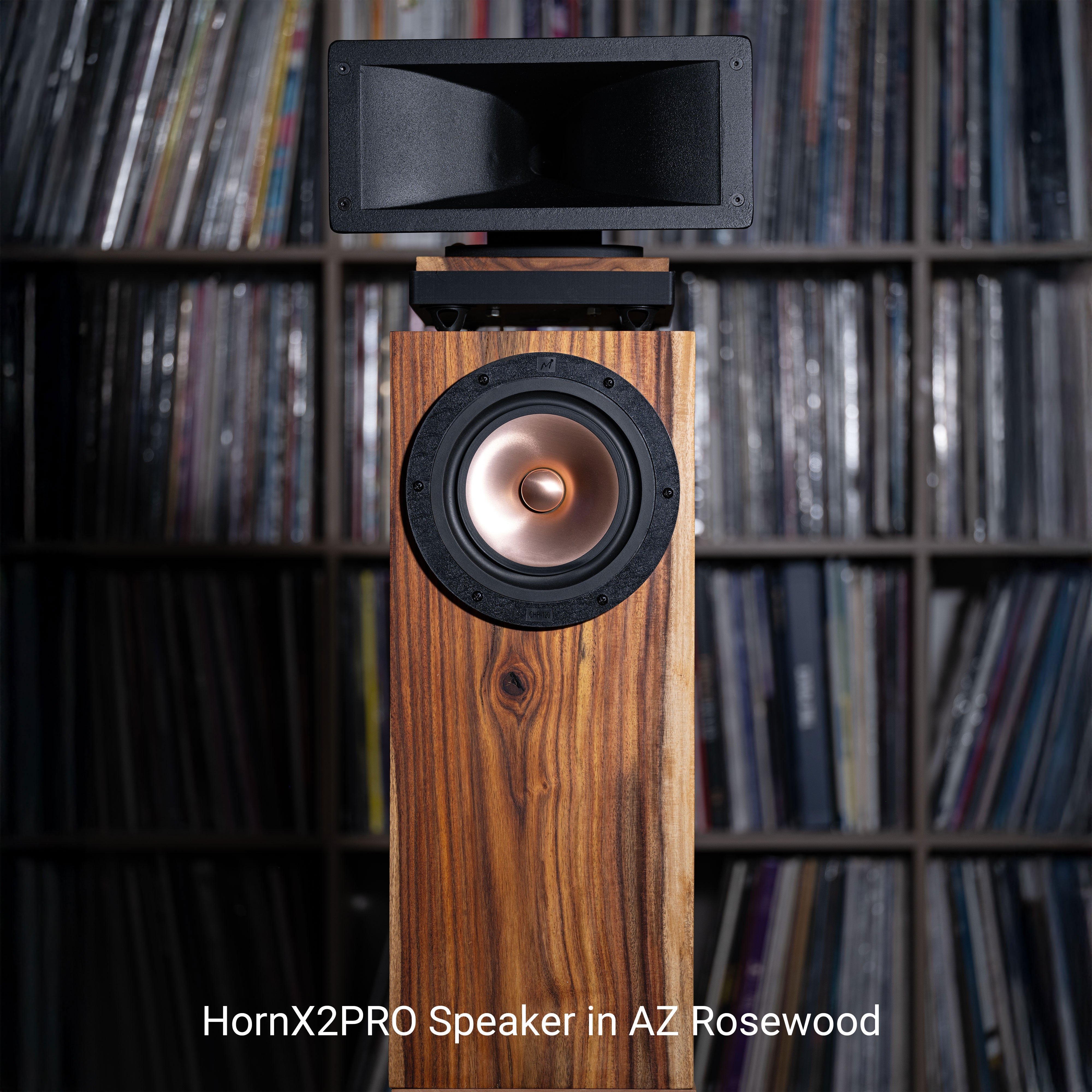 Hiro Speaker - complete system – Shinjitsu Audio