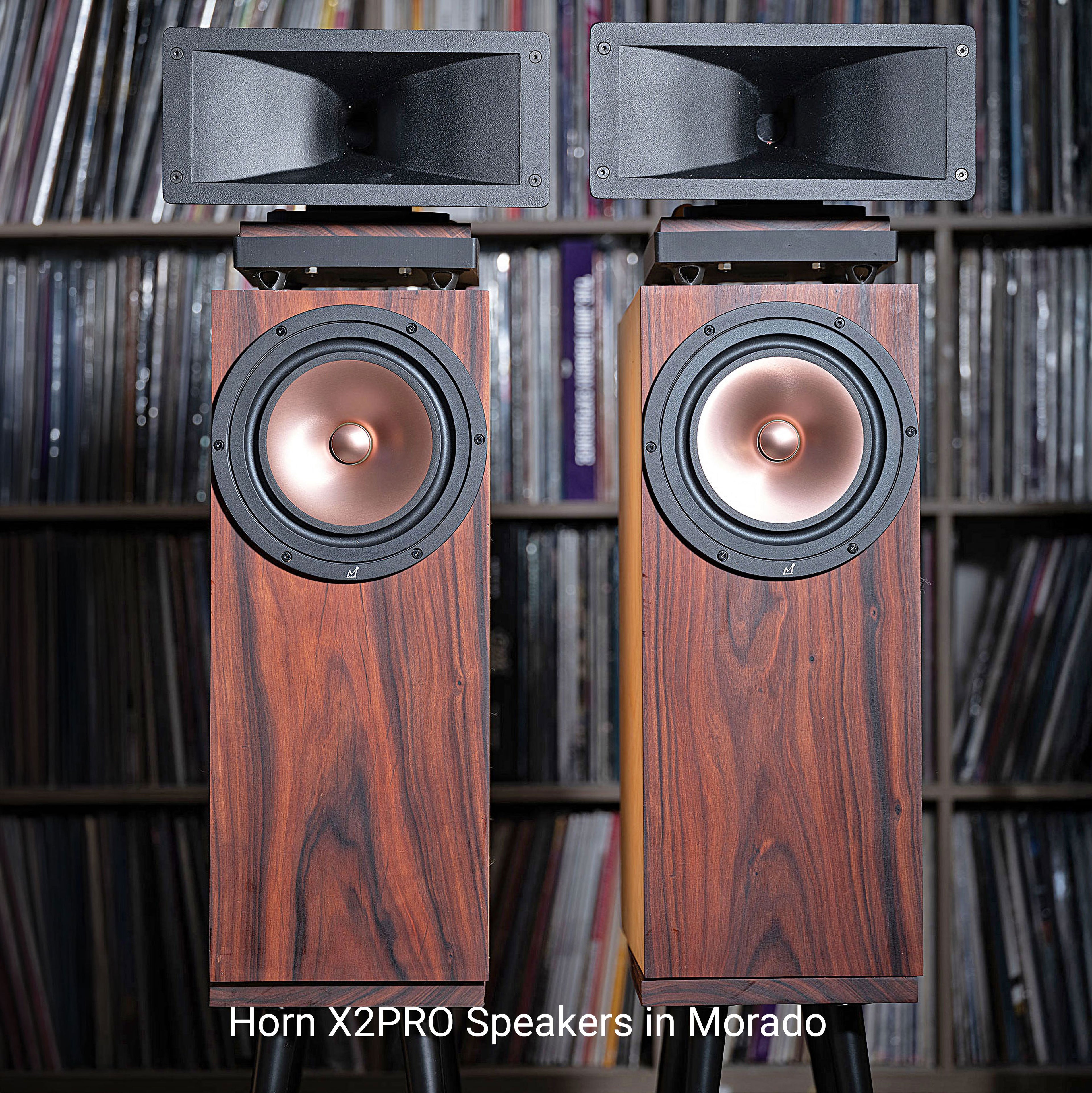Horn 2 PRO Horn Speaker (Pair)