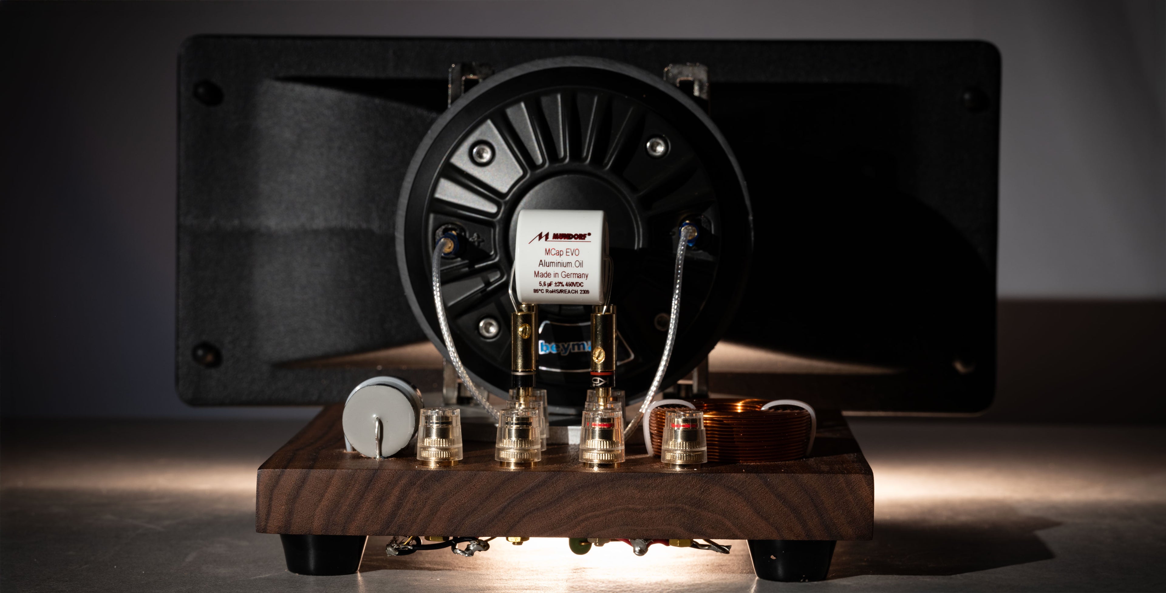 Horn X 2 Engine with complete crossover (PAIR)