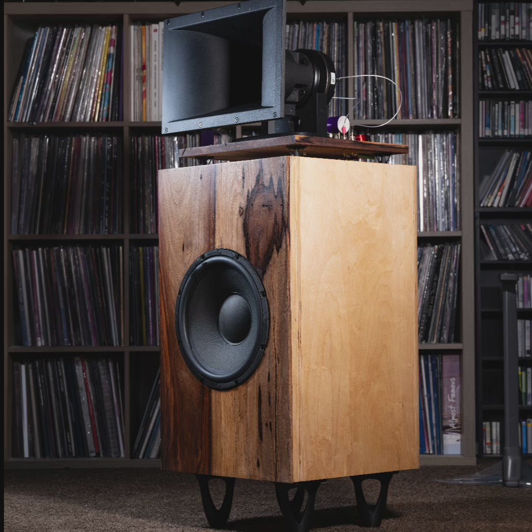 Magnum Large Format Speaker -pair
