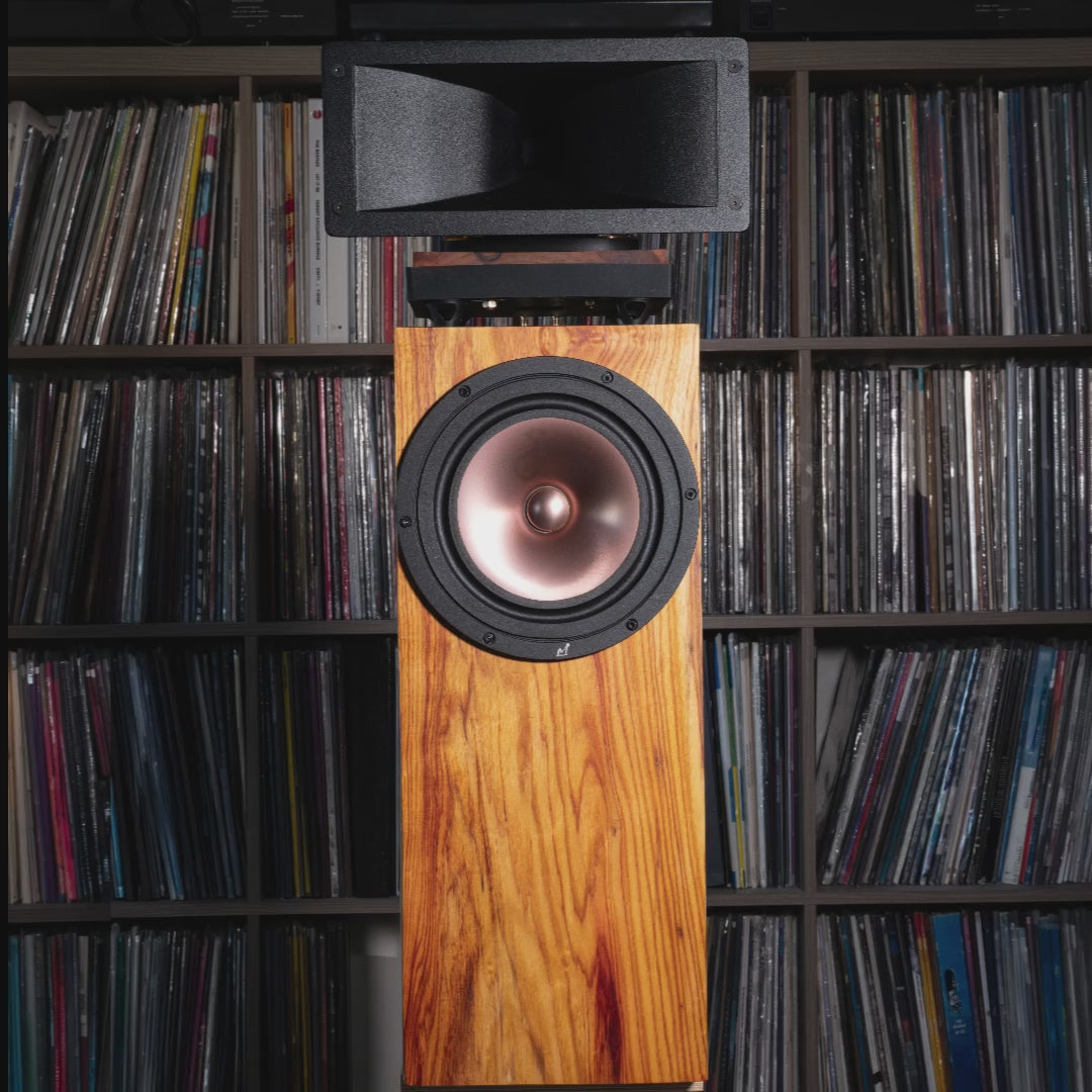 Hiro Speaker - pair – Shinjitsu Audio