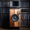Magnum Large Format Speaker -pair