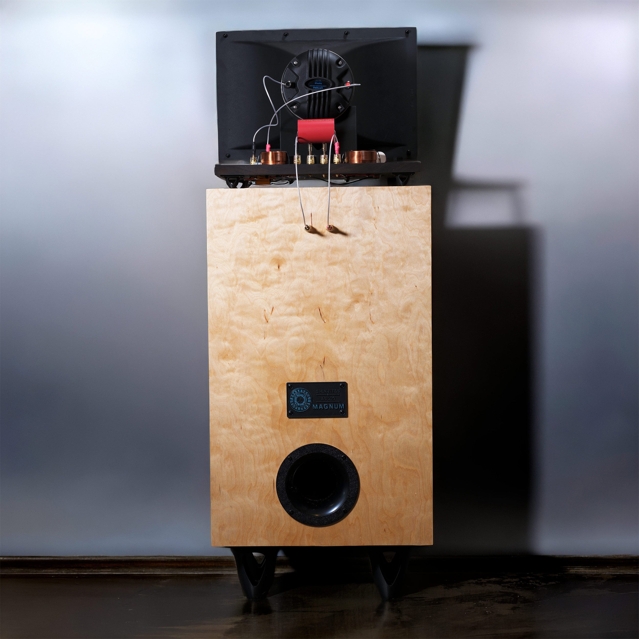 Magnum Horn Speaker Pair