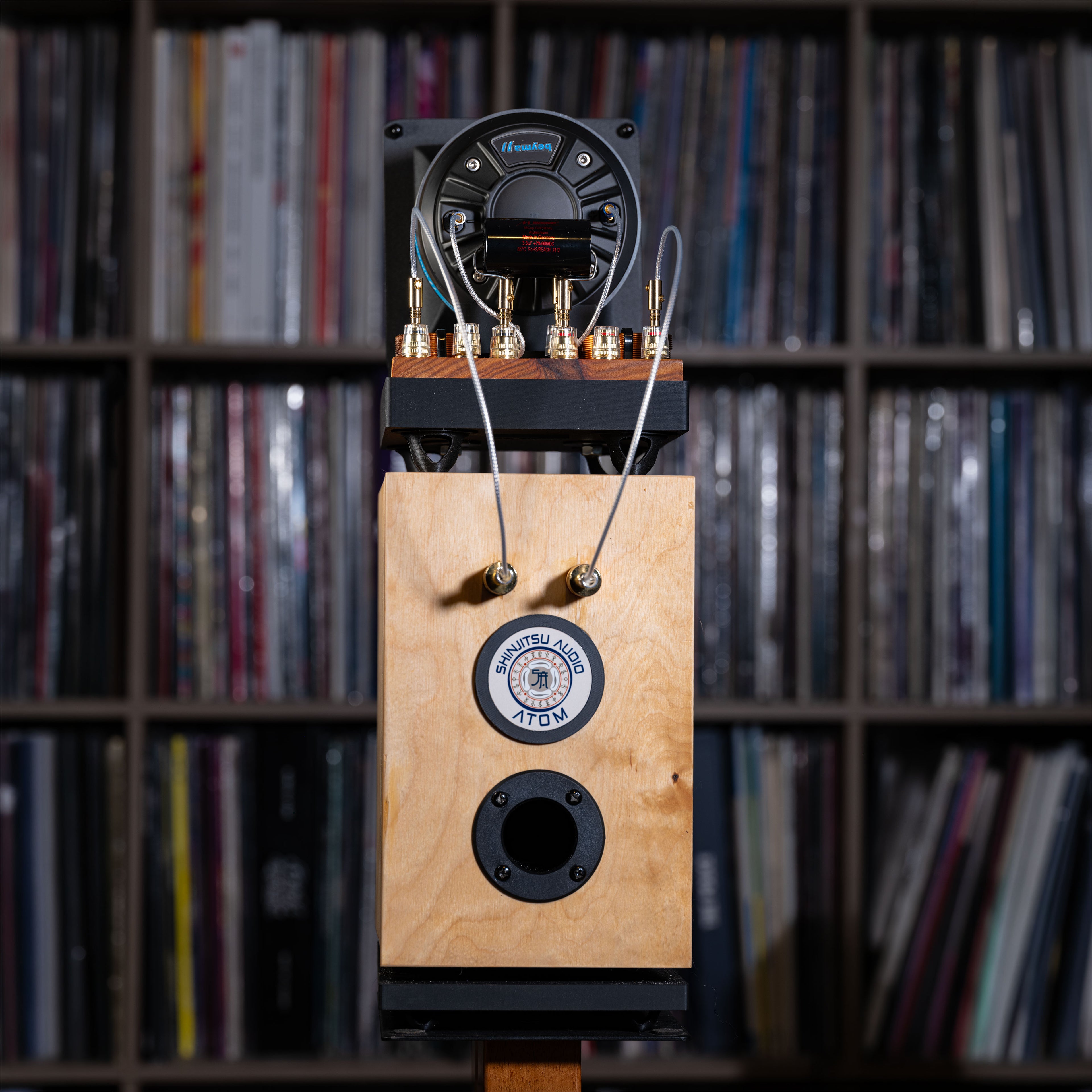 Atom Horn Speaker Pair